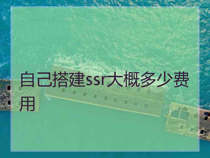 自己搭建ssr大概多少费用