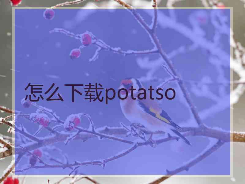 怎么下载potatso