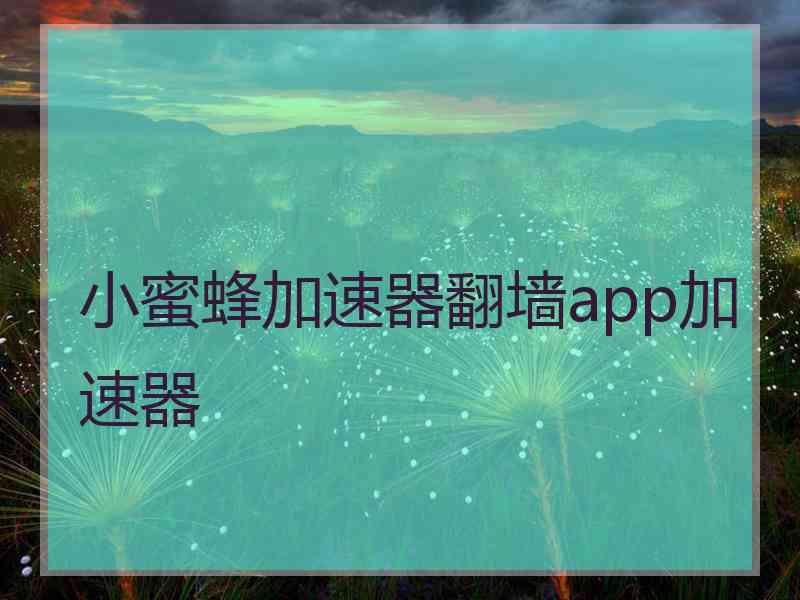 小蜜蜂加速器翻墙app加速器