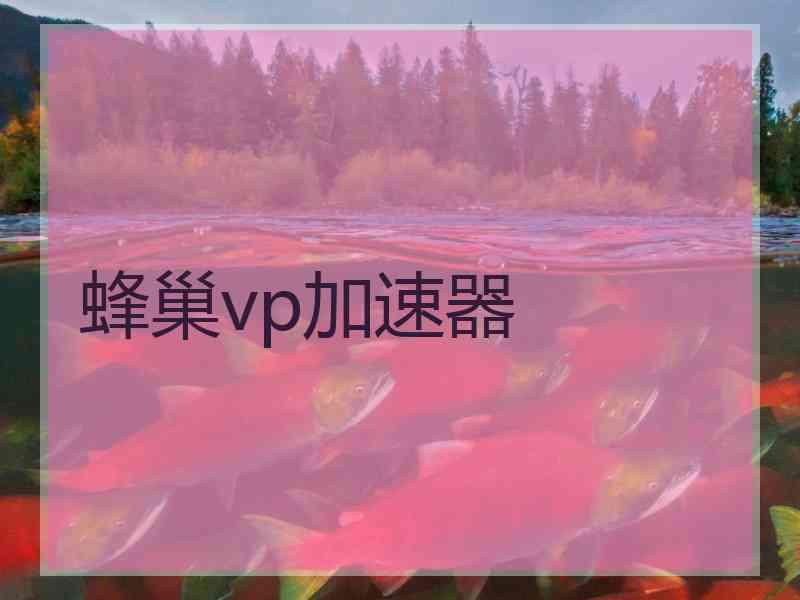 蜂巢vp加速器