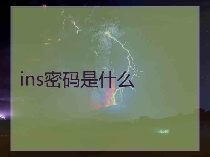 ins密码是什么