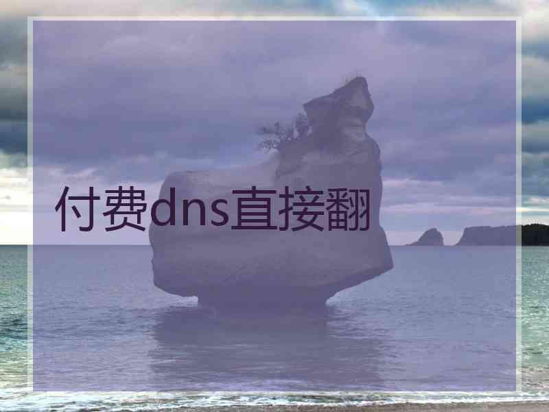 付费dns直接翻