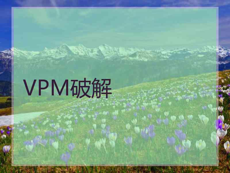 VPM破解
