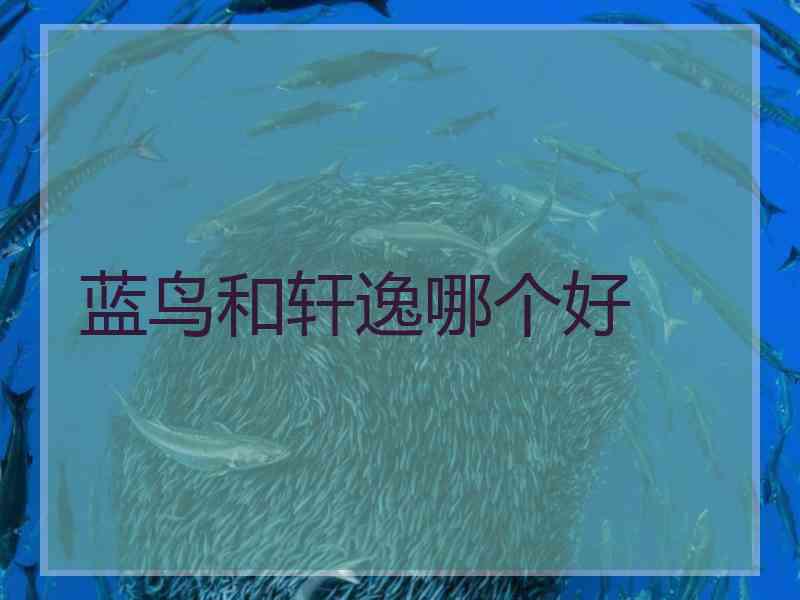 蓝鸟和轩逸哪个好