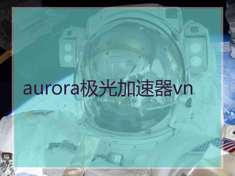aurora极光加速器vn