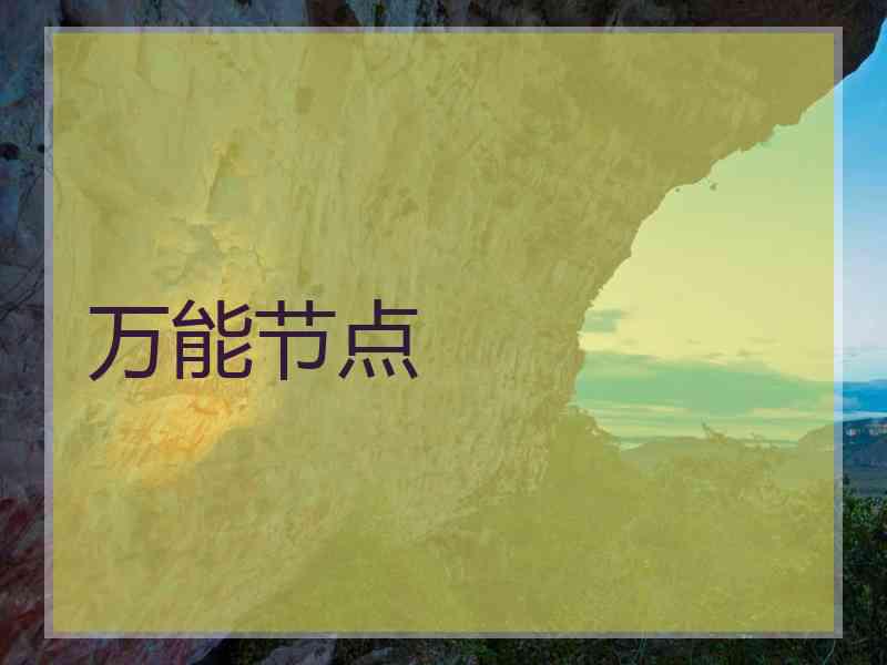 万能节点