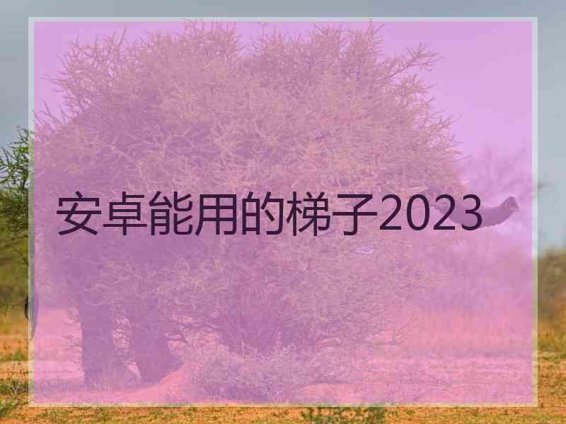 安卓能用的梯子2023