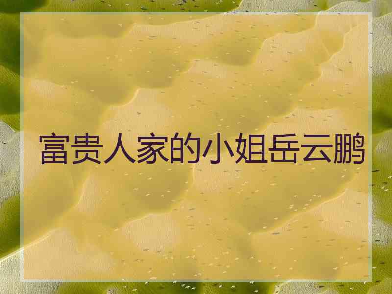 富贵人家的小姐岳云鹏