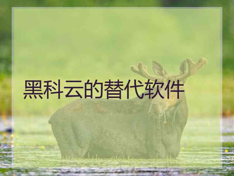 黑科云的替代软件
