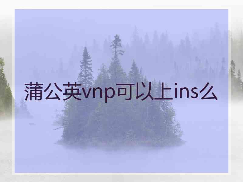 蒲公英vnp可以上ins么