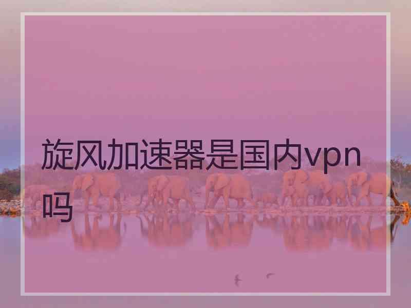 旋风加速器是国内vpn吗