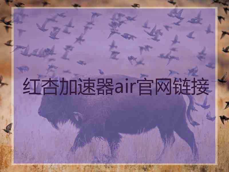 红杏加速器air官网链接