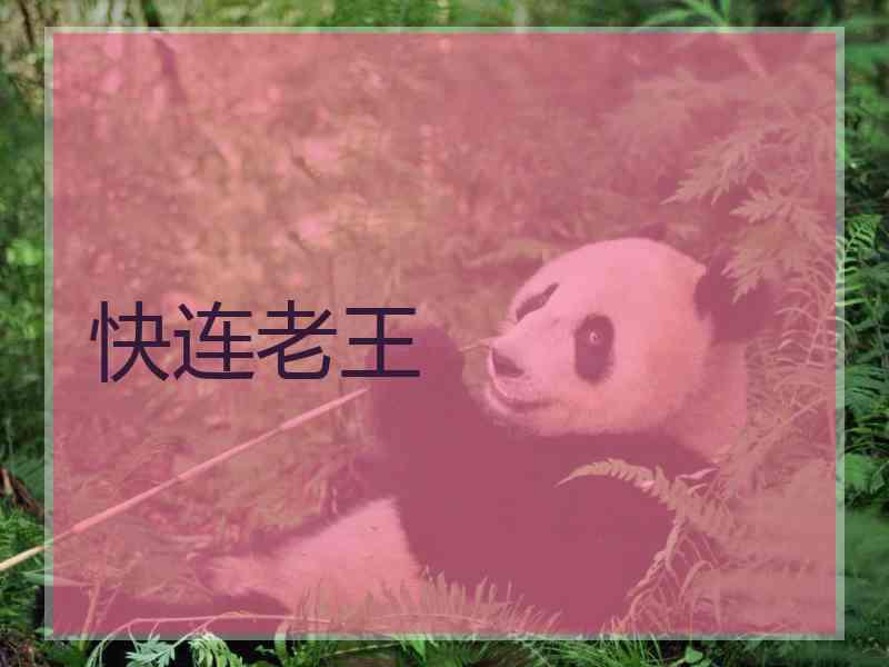 快连老王