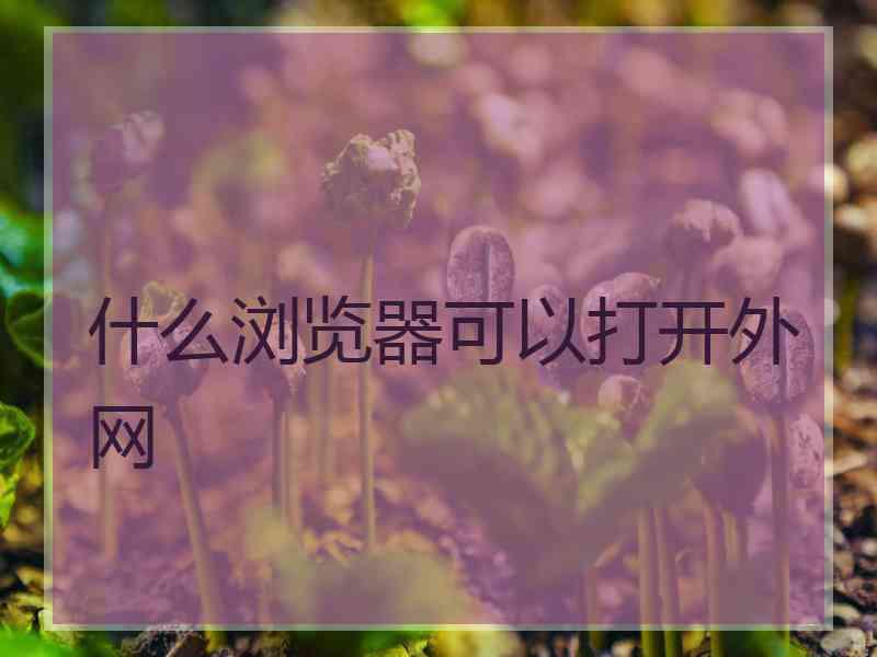 什么浏览器可以打开外网