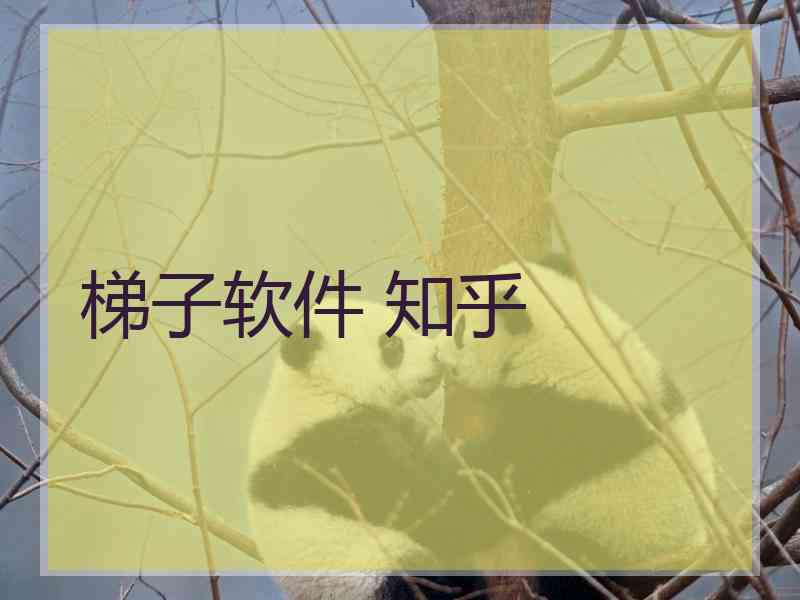 梯子软件 知乎