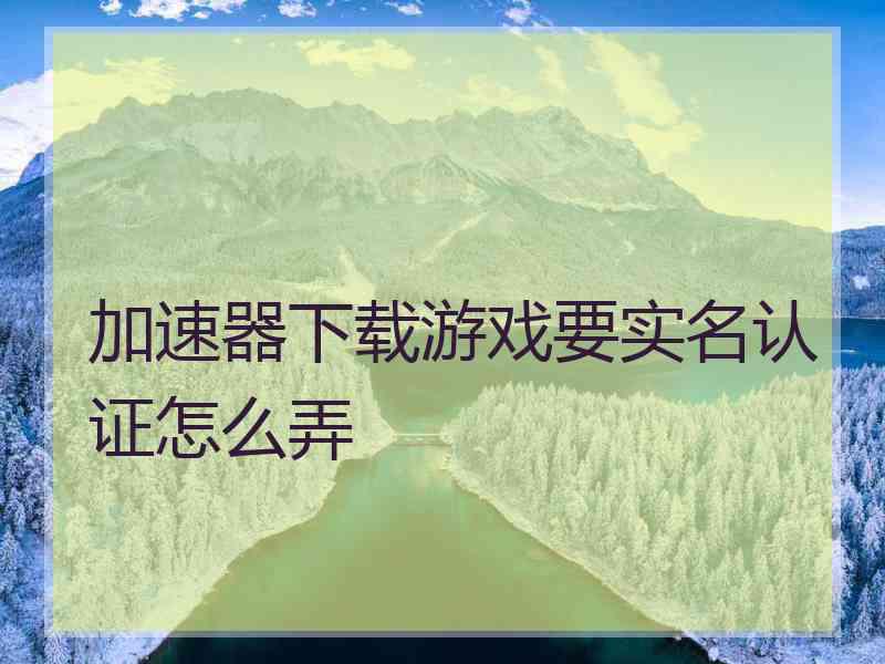 加速器下载游戏要实名认证怎么弄
