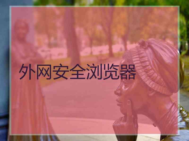 外网安全浏览器