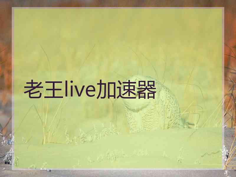 老王live加速器