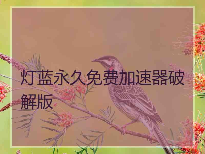 灯蓝永久免费加速器破解版