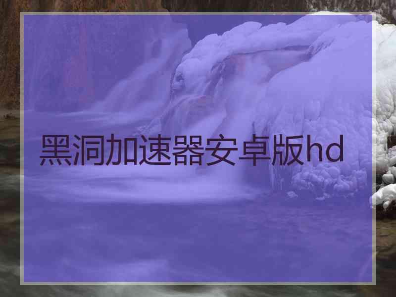 黑洞加速器安卓版hd