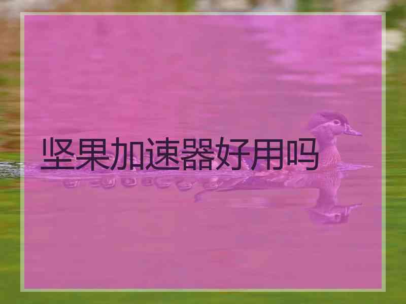 坚果加速器好用吗