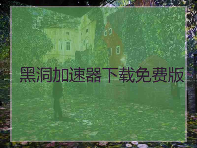 黑洞加速器下载免费版