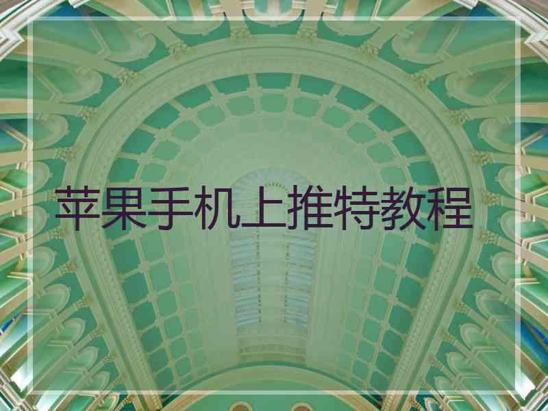 苹果手机上推特教程