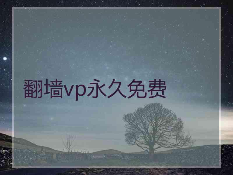 翻墙vp永久免费