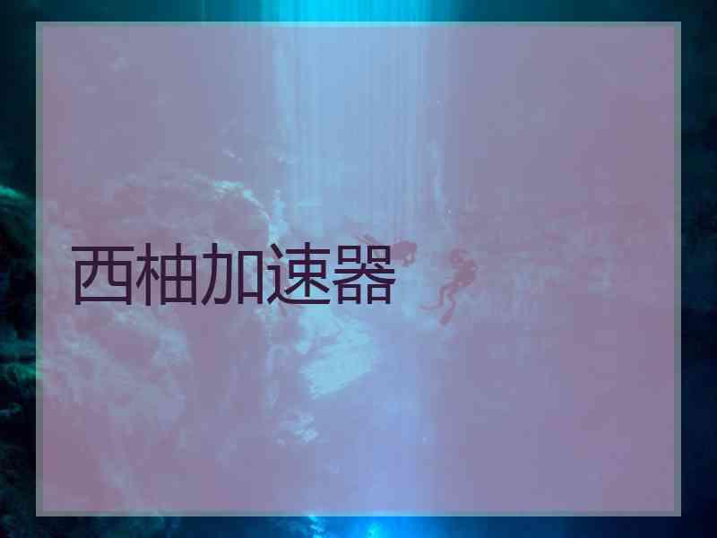 西柚加速器
