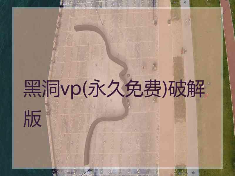 黑洞vp(永久免费)破解版