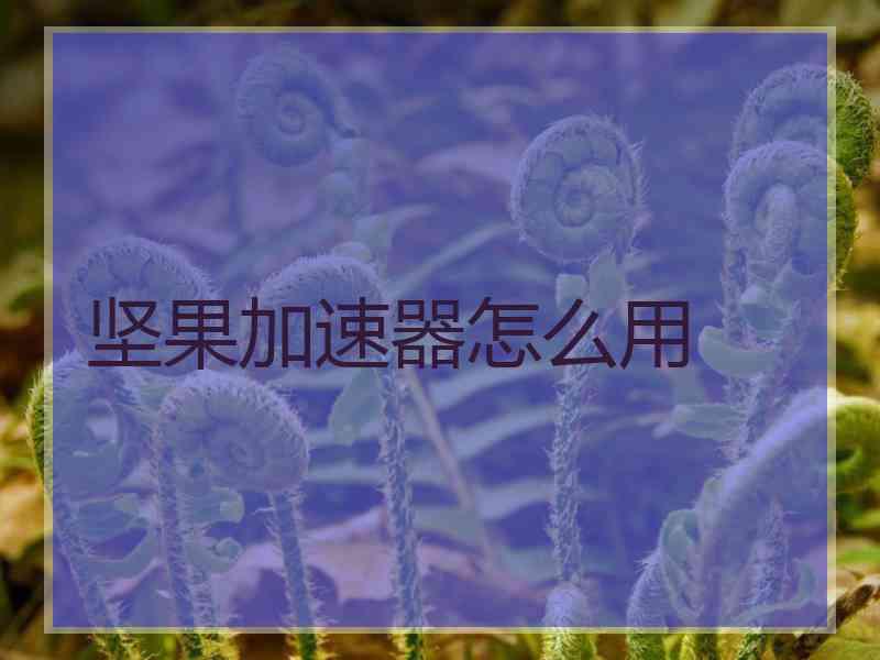 坚果加速器怎么用
