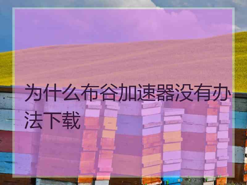 为什么布谷加速器没有办法下载