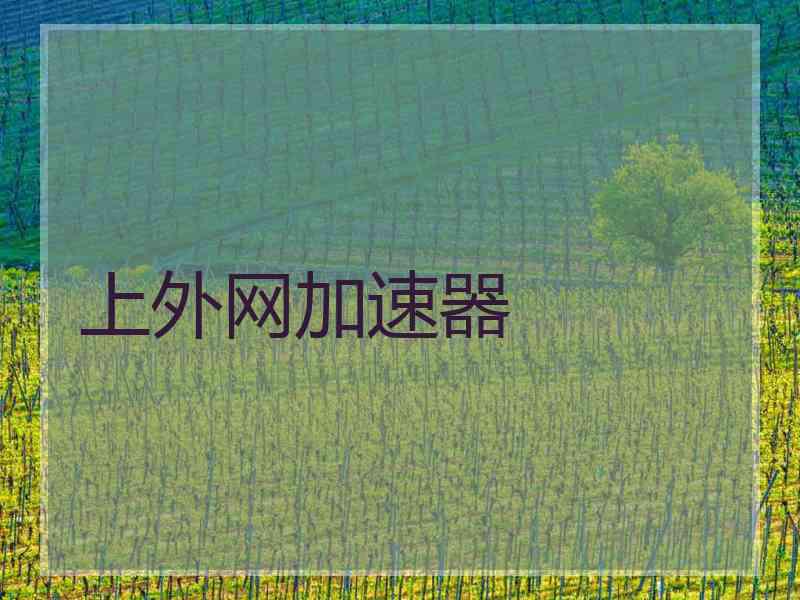 上外网加速器