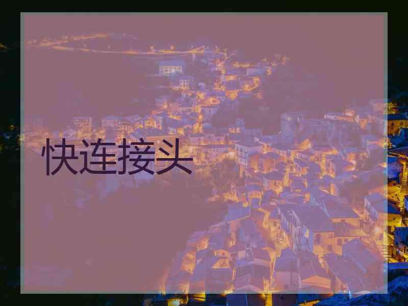 快连接头