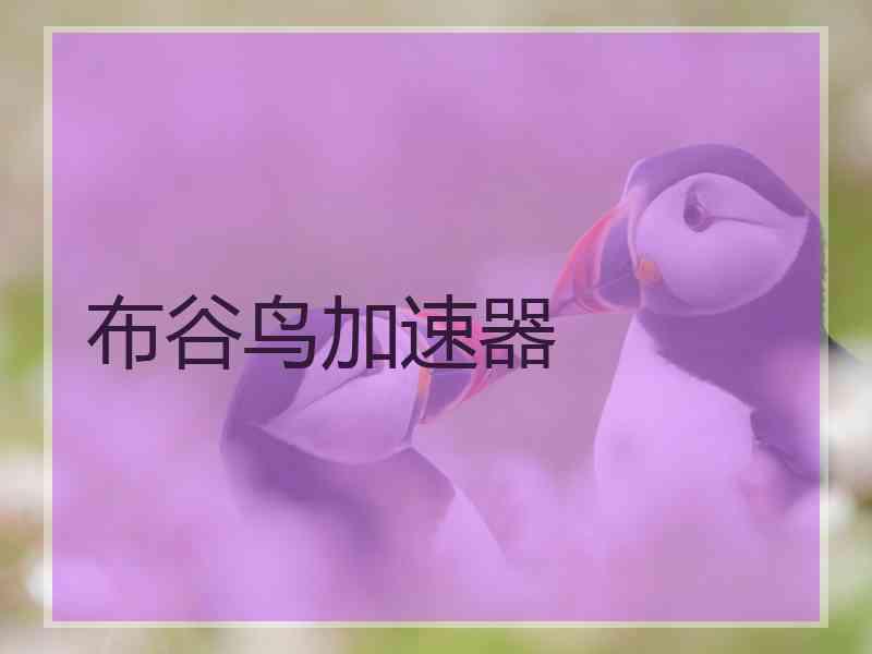 布谷鸟加速器