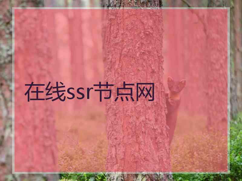 在线ssr节点网