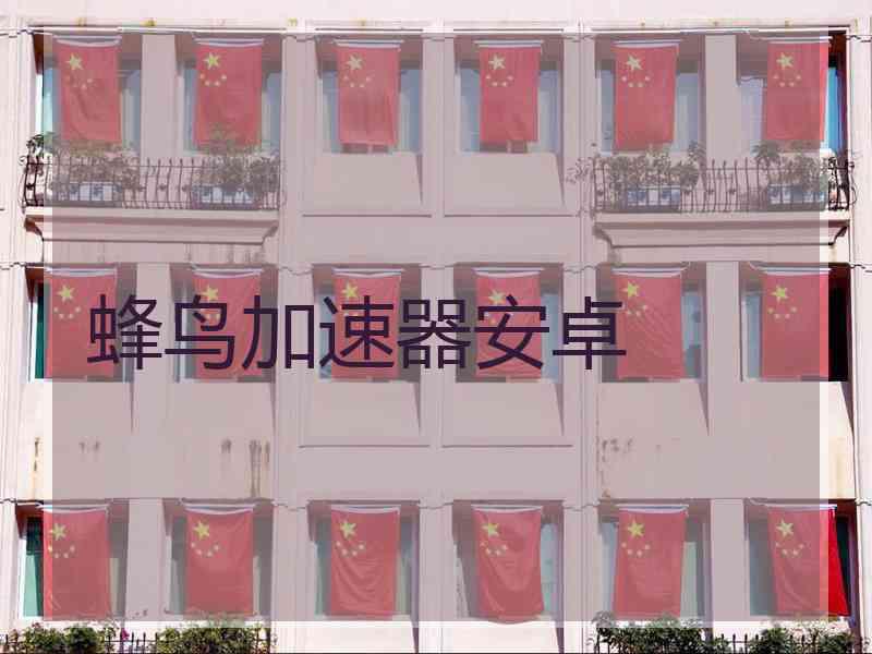 蜂鸟加速器安卓