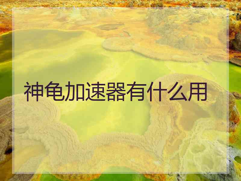 神龟加速器有什么用