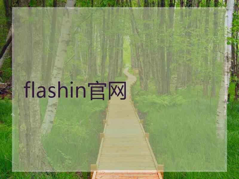 flashin官网