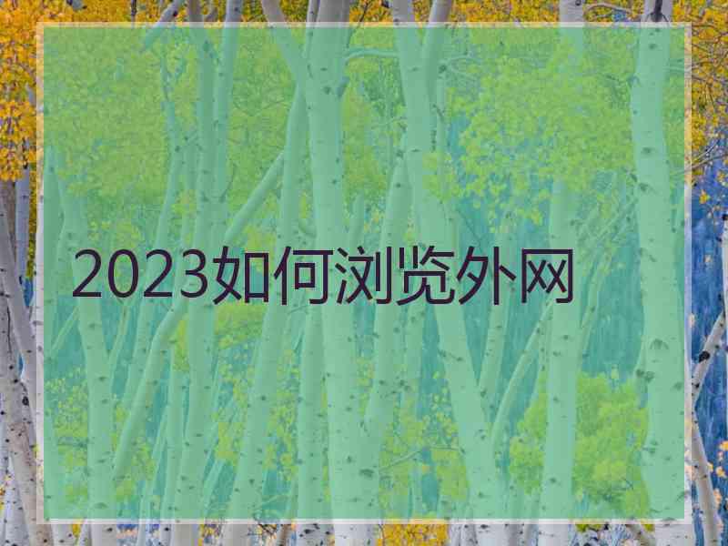 2023如何浏览外网
