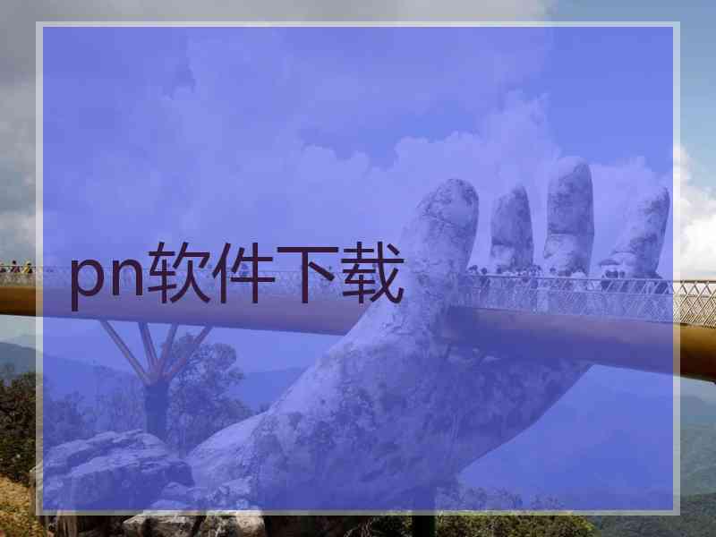 pn软件下载