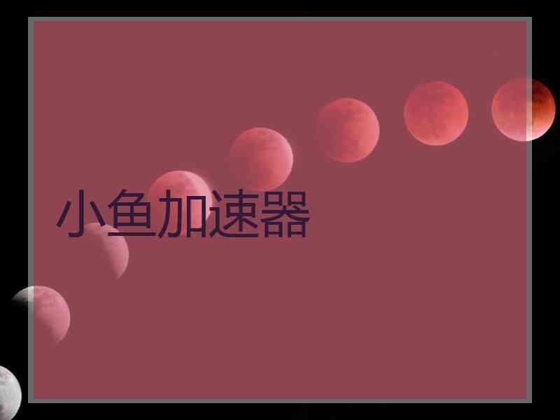 小鱼加速器