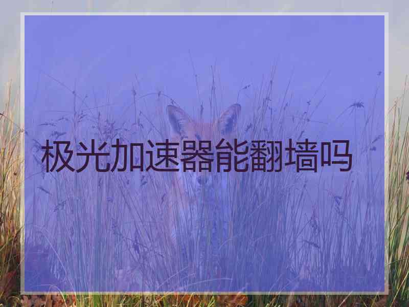 极光加速器能翻墙吗