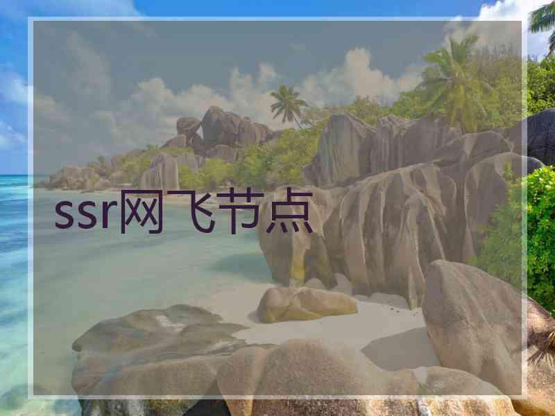 ssr网飞节点
