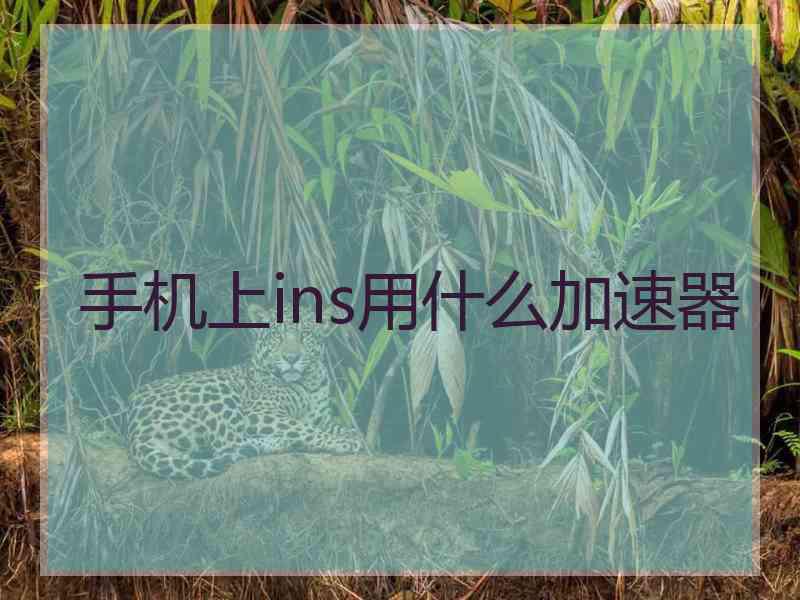 手机上ins用什么加速器