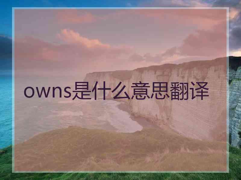 owns是什么意思翻译