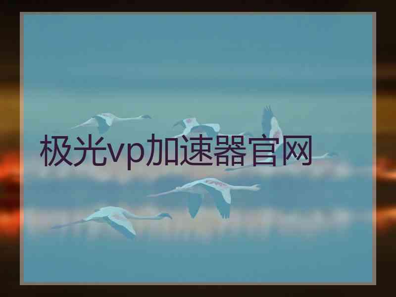 极光vp加速器官网