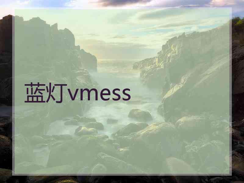 蓝灯vmess