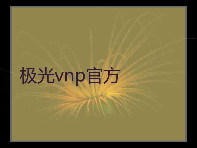 极光vnp官方