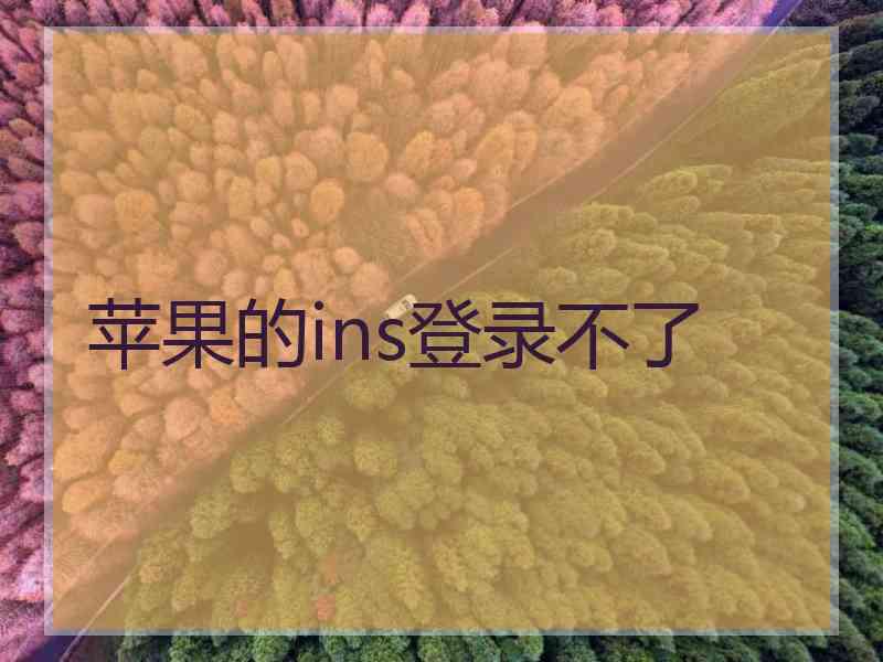 苹果的ins登录不了
